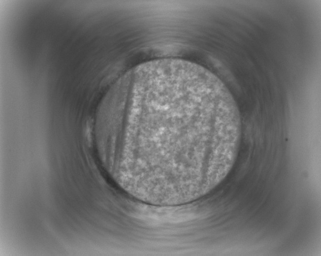 X0000065970026200603241925