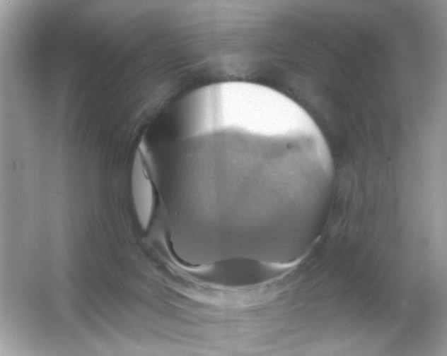 X0000065970027200603241925