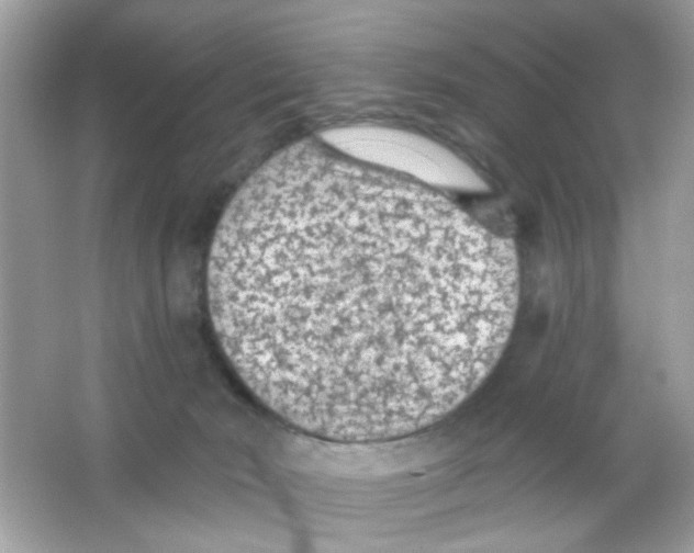 X0000065970030200603241925