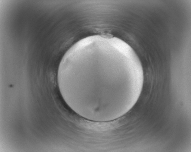 X0000065970031200603241925