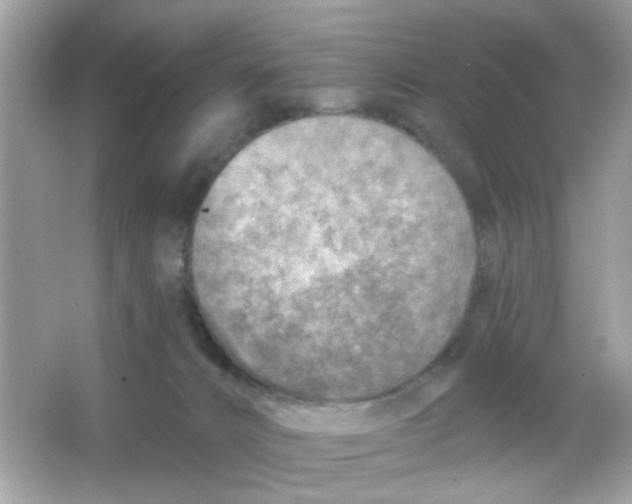 X0000065970032200603241925