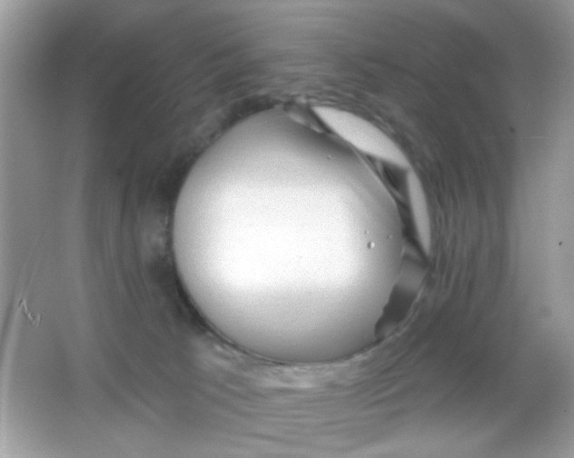 X0000065970033200603241925