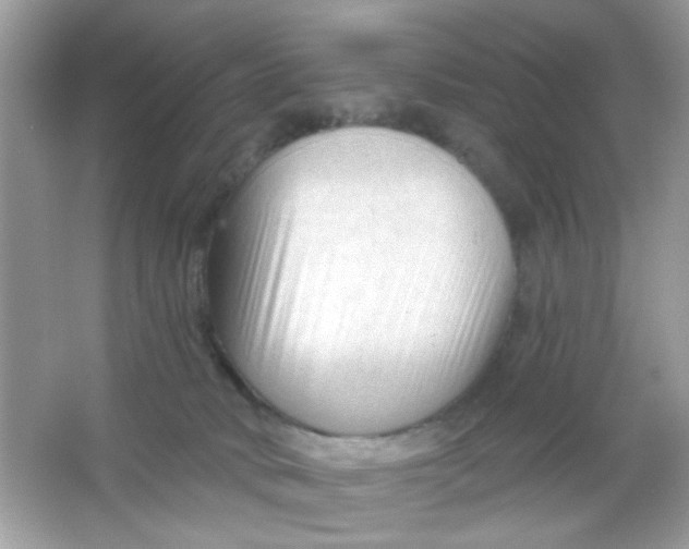 X0000065970034200603241925