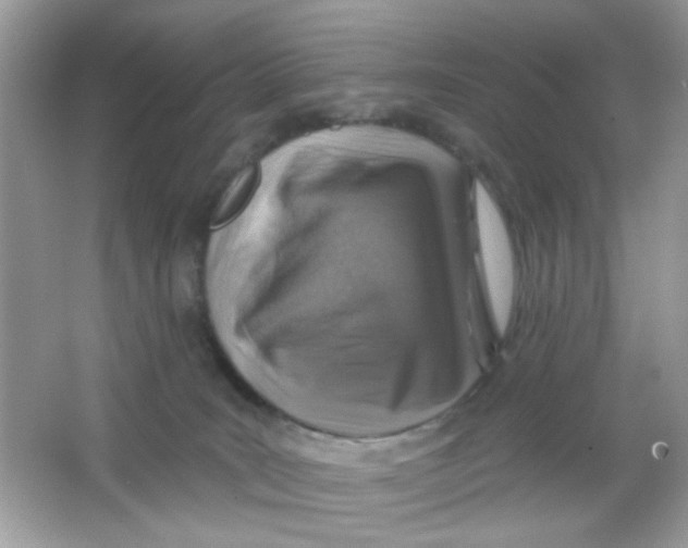 X0000065970035200603241925