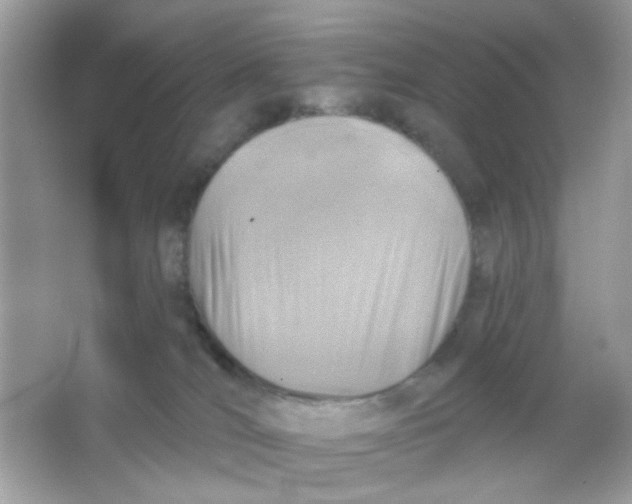 X0000065970036200603241925