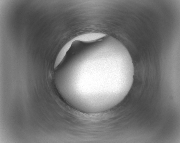 X0000065970038200603241925