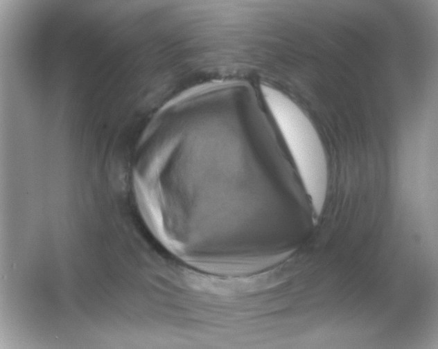 X0000065970039200603241925