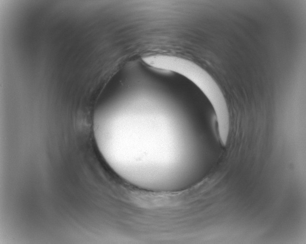 X0000065970040200603241925