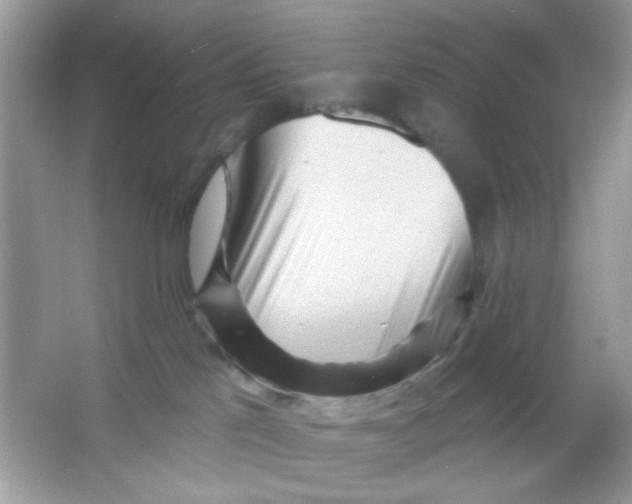 X0000065970041200603241925