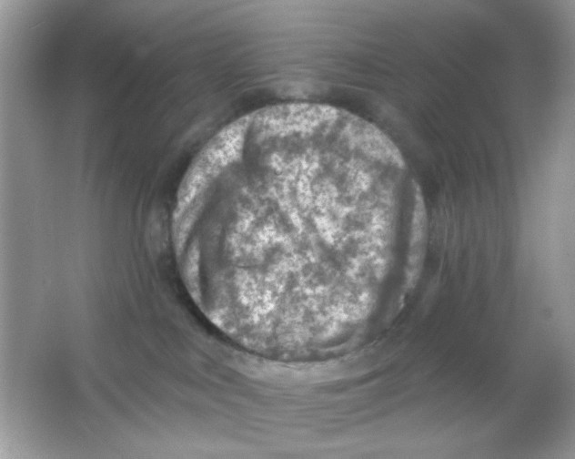 X0000065970043200603241925