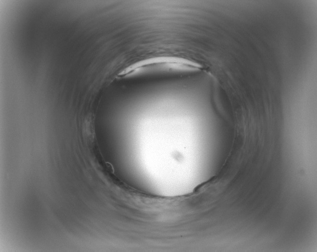 X0000065970044200603241925