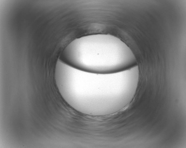 X0000065970045200603241925