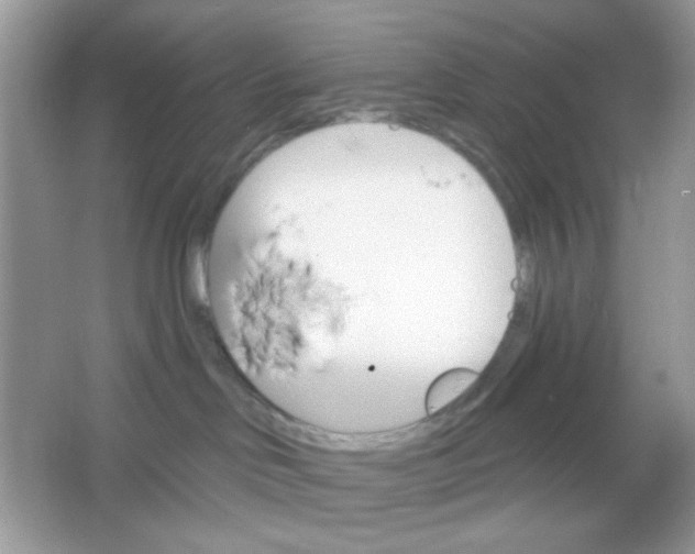 X0000065970046200603241925