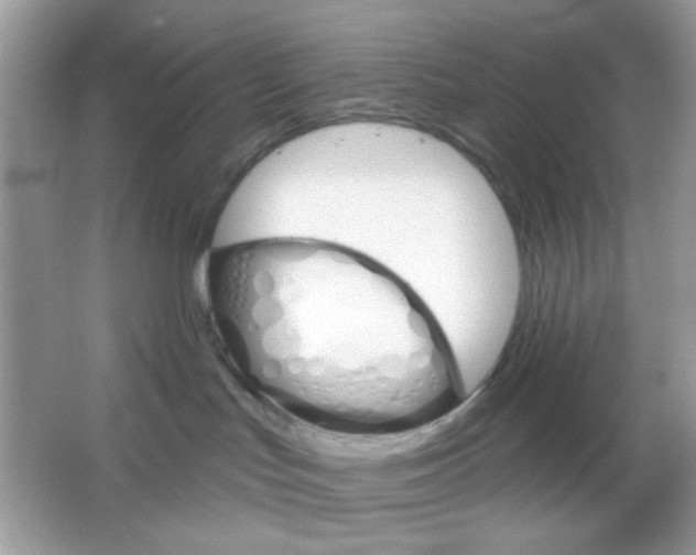 X0000065970047200603241925