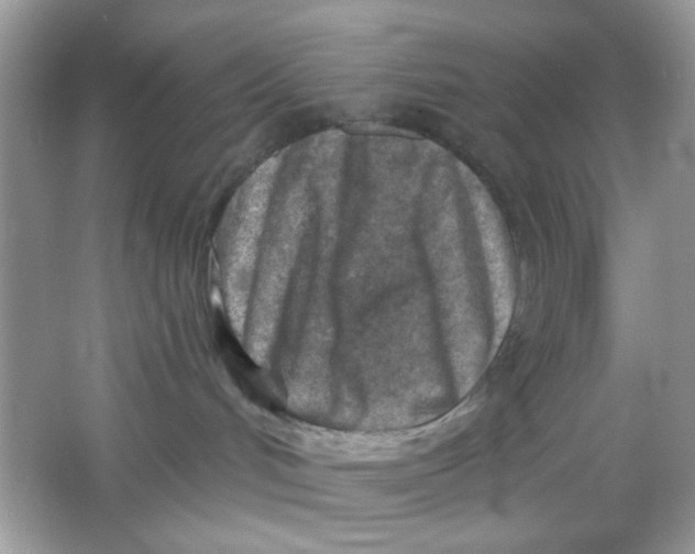 X0000065970048200603241925