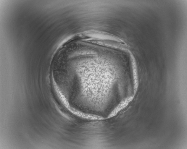 X0000065970050200603241924