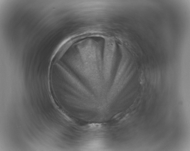 X0000065970052200603241924