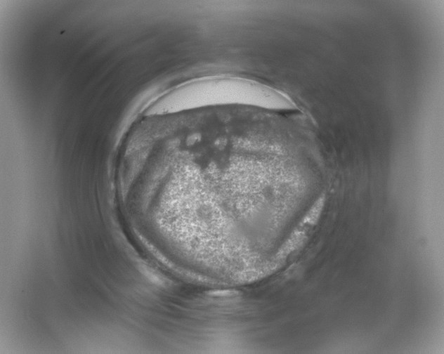 X0000065970053200603241924