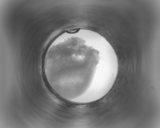 X0000065970054200603241924