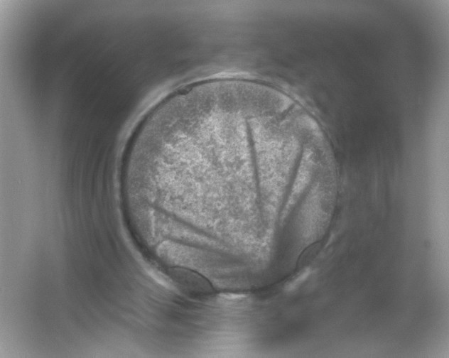 X0000065970055200603241924