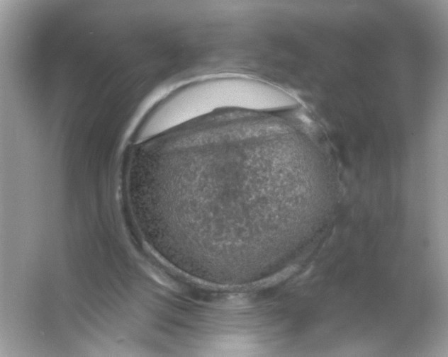 X0000065970056200603241924