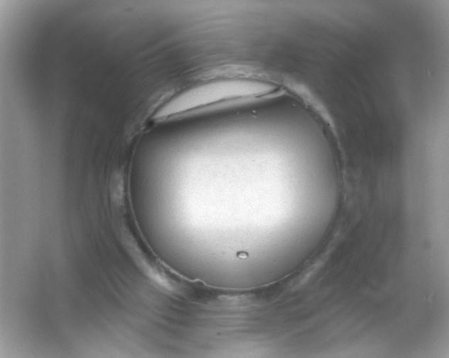 X0000065970057200603241924