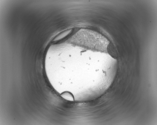 X0000065970059200603241924