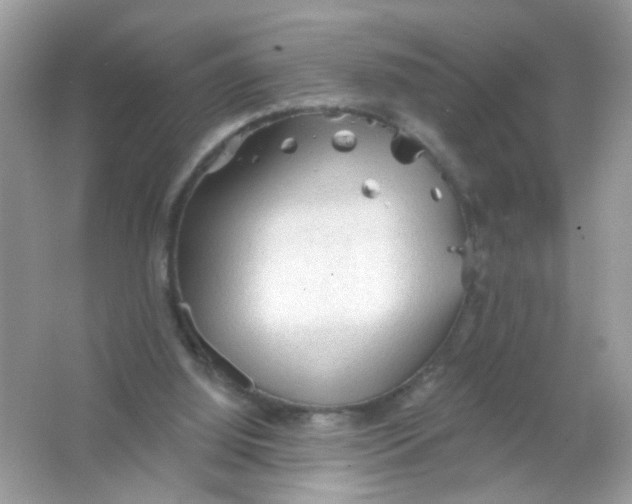 X0000065970060200603241924