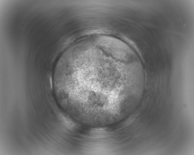 X0000065970061200603241924