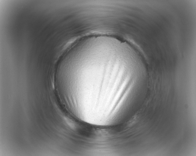 X0000065970062200603241924