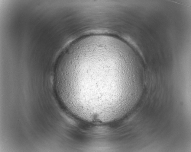 X0000065970063200603241924