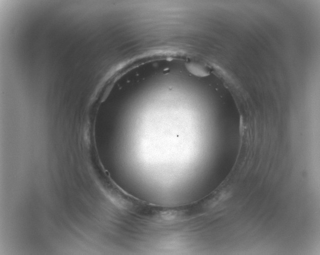 X0000065970064200603241924