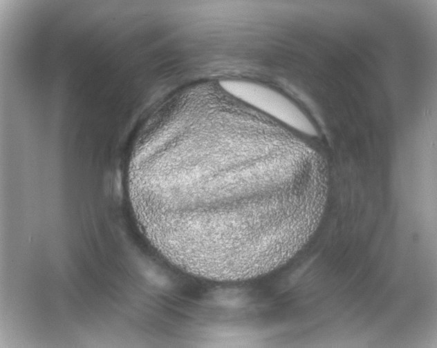 X0000065970067200603241924