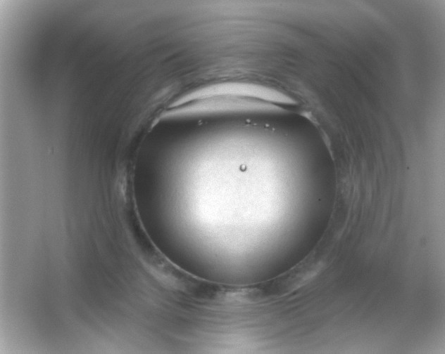 X0000065970072200603241924