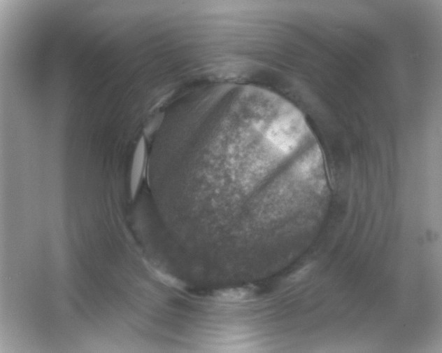 X0000065970076200603241924