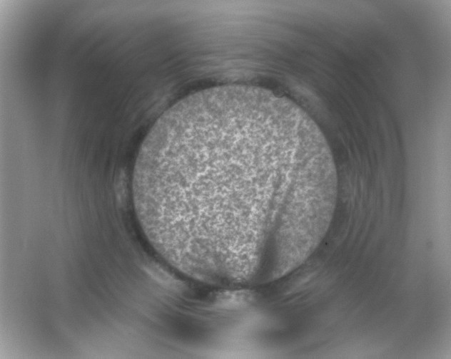 X0000065970077200603241924