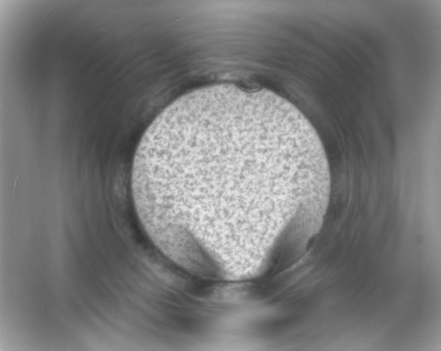 X0000065970078200603241924