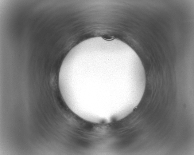 X0000065970079200603241924