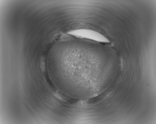 X0000065970080200603241924