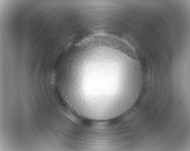 X0000065970081200603241924