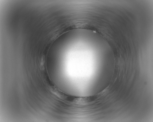 X0000065970082200603241924