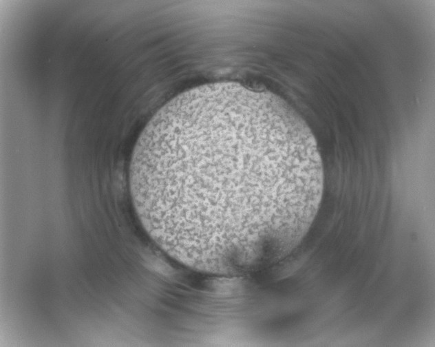 X0000065970085200603241924