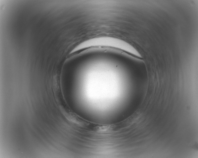 X0000065970088200603241924