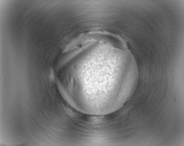 X0000065970089200603241924