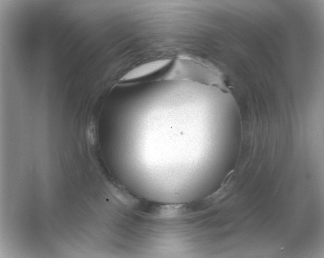 X0000065970090200603241924