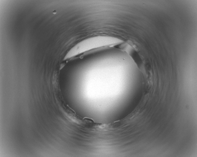 X0000065970092200603241924