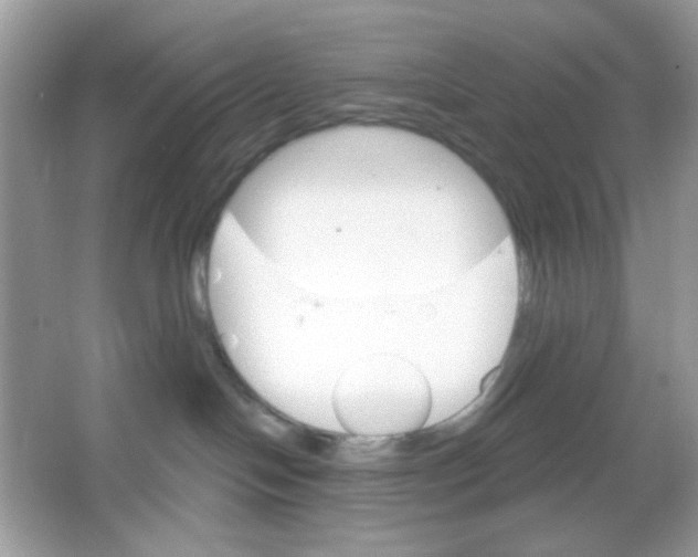 X0000065970094200603241924