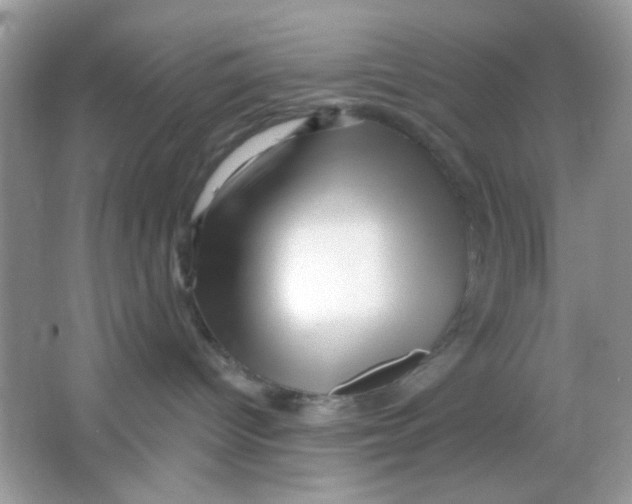 X0000065970096200603241925