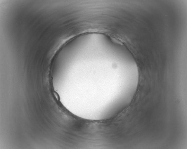 X0000065970098200603241924