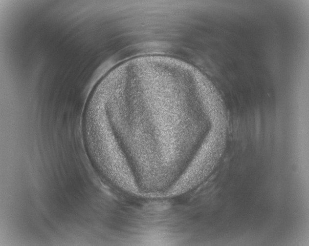 X0000065970099200603241924